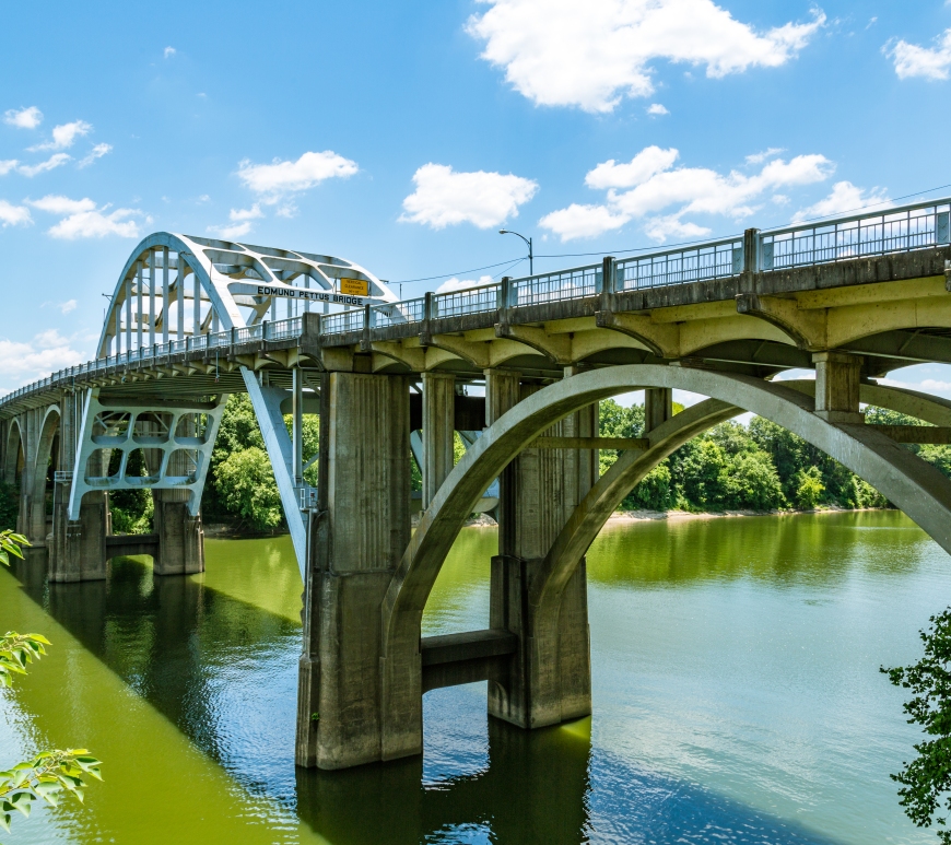 The photo is taken from slightly below the road level of the bridge, which travels from the right foreground to the left background. The iconic white arch shape of the bridge is visible, as well as the sign calling it the Edmund Pettus Bridge. It's a sunny day and the trees on both banks of the river are dense and leafy. The river below is clouded.