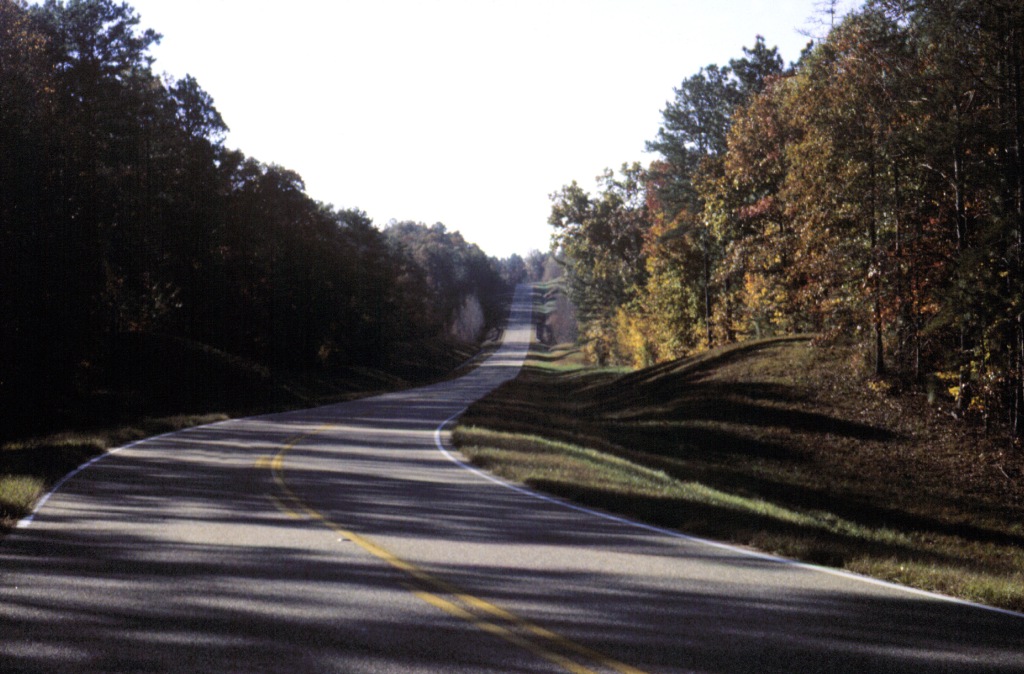 A winding two-lane road passes in the middle of a forest with slight hills.