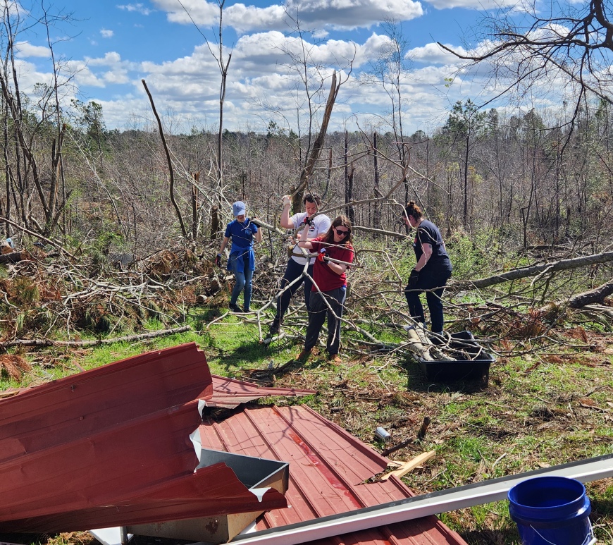 A group of four people carry fallen tree limbs from a large pile of brush. A warped and damaged sheet of metal can be partially seen in the foreground.