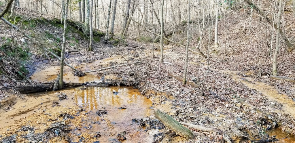 A gully in the middle of a forest, with low hills on either side and standing water and mud in its low points.