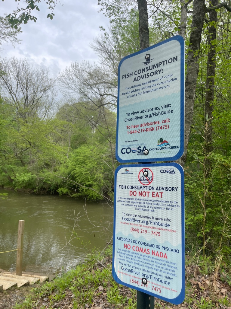 Two metal signs on a pole describe fishing advisories and provide the phone number and website to learn about the advisory from the Coosa Riverkeeper, rather than from the state website. The signs include the statement that "it is advised to not consume any quantity of any species of fish in Choccolocco Creek." Behind the sign, wooden steps lead down the bank to a creek.