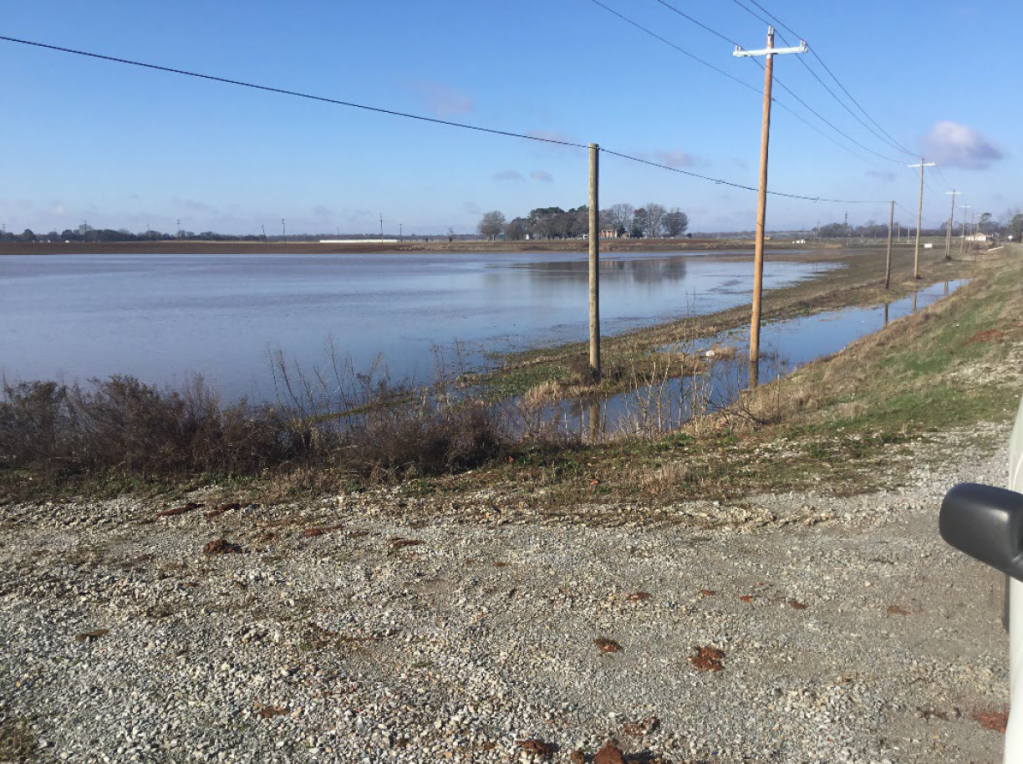 Photo shows a wide, flat field covered with a pool of standing water. Telephone poles are sticking up out of the water and on a small berm that rises above the water level. The shoulder of the road is also visible and stands well above the water line.